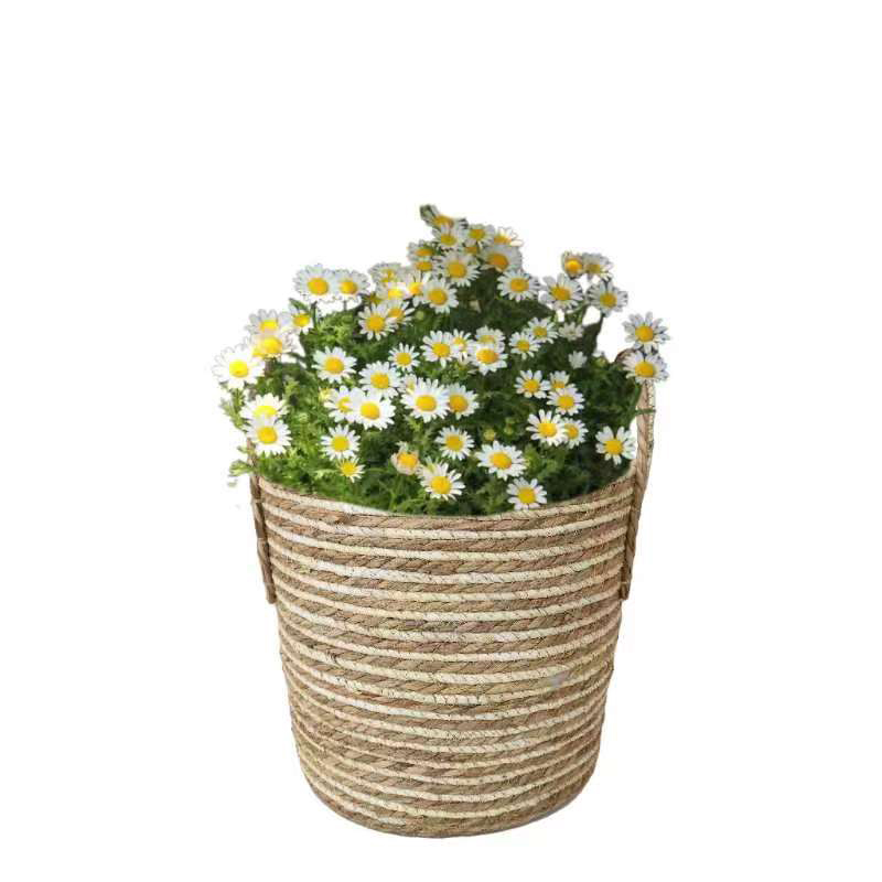  GRASS PRODUCTS