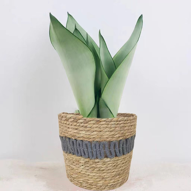  GRASS PRODUCTS