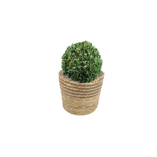  GRASS PRODUCTS