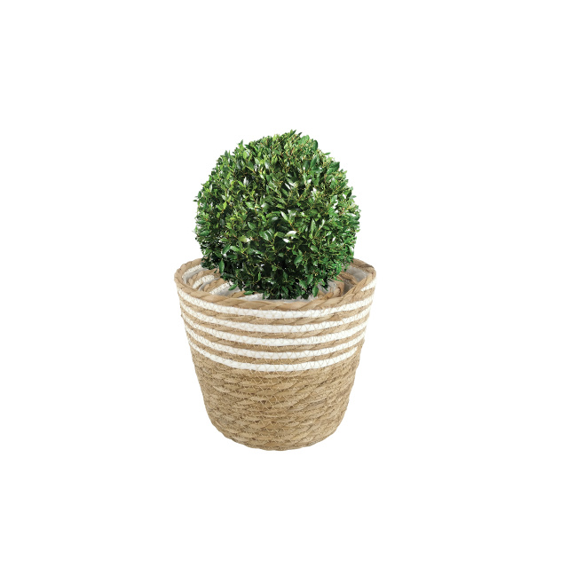  GRASS PRODUCTS