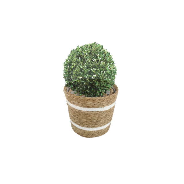  GRASS PRODUCTS
