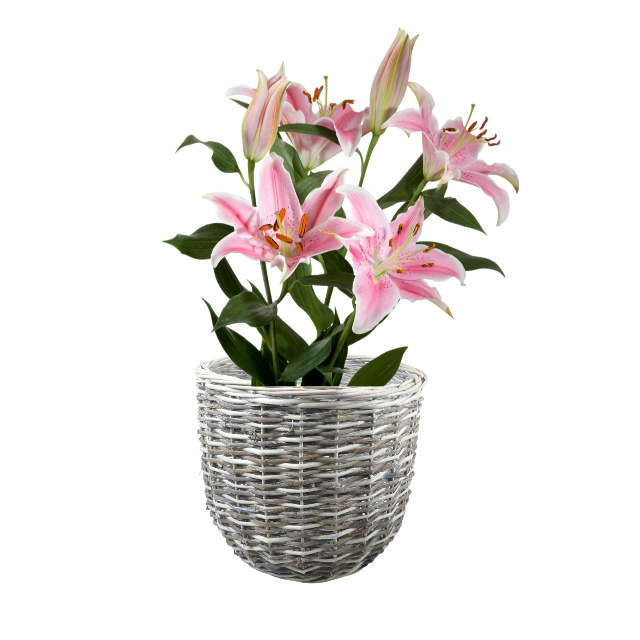 WILLOW PRODUCTS