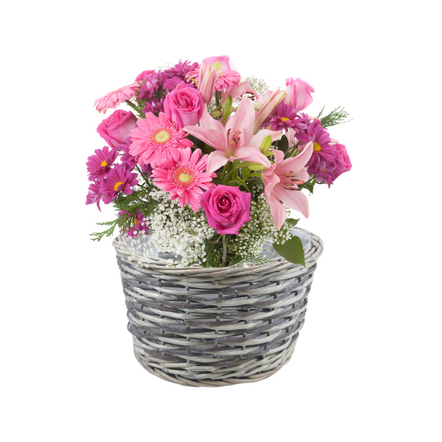 WILLOW PRODUCTS