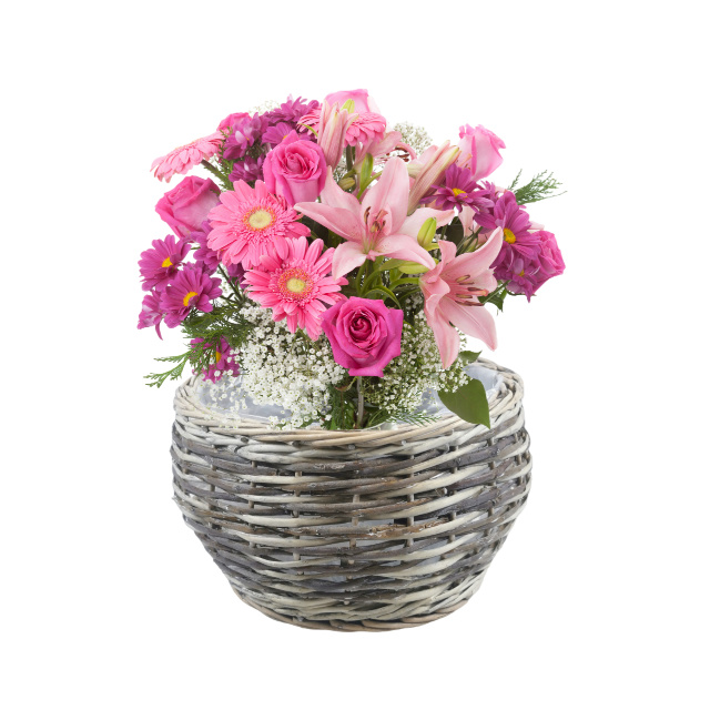 WILLOW PRODUCTS