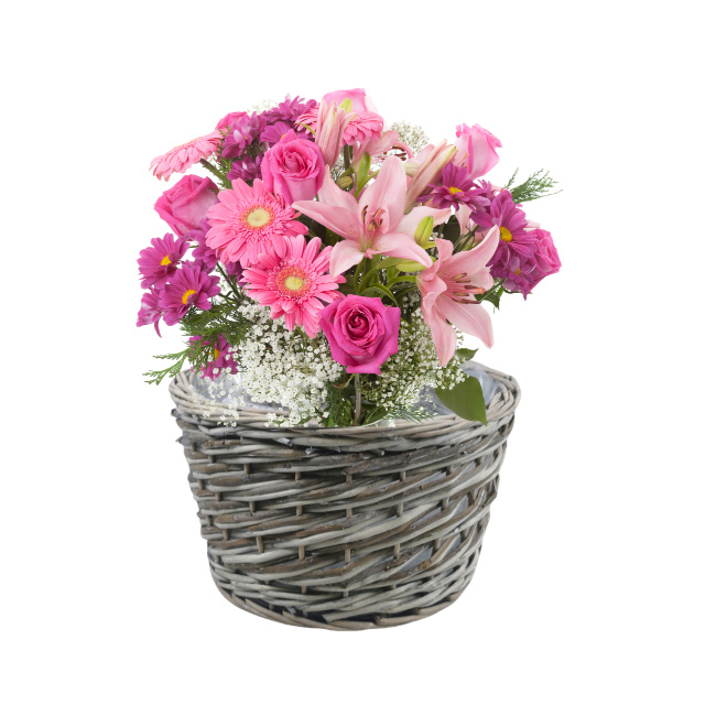 WILLOW PRODUCTS