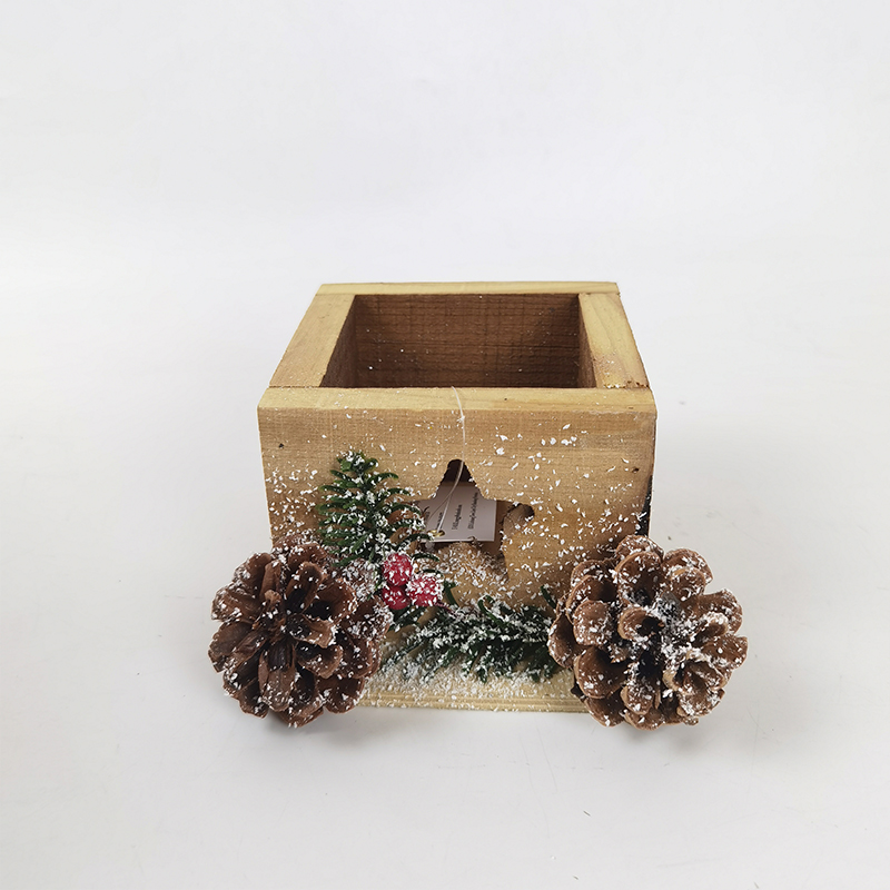 CHRISTMAS PRODUCTS